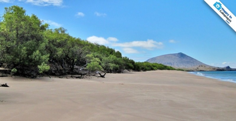 A perfect beach to relax in Galapagos