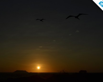 A wonderful sunset in Seymour Island