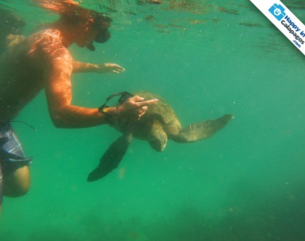 Enjoy this unique experience in Galapagos Islands