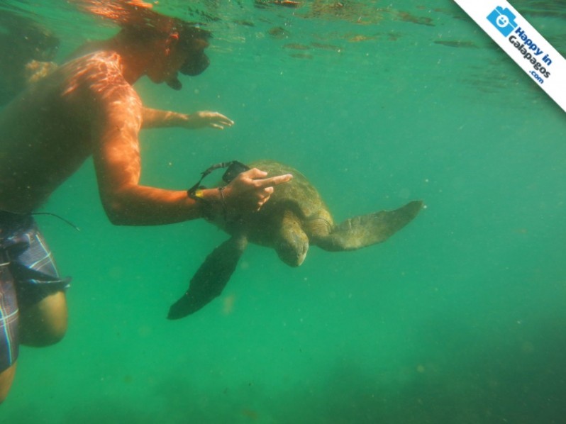 Enjoy this unique experience in Galapagos Islands