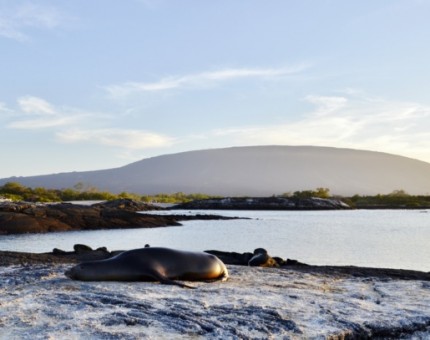 A nice landscape of Fernandina in Galapagos Islands