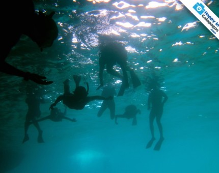 Sharing good experiences under the water