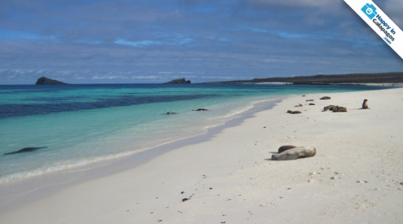 A wonderful beach of Gardner Bay in Galapagos