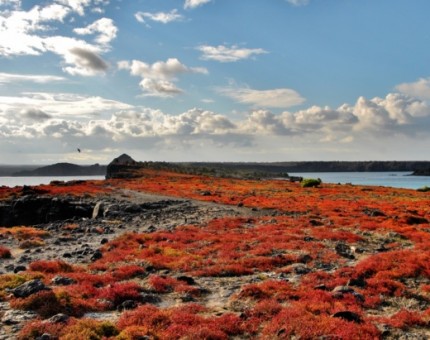 Come and enjoy the wonderful landscapes of Galapagos