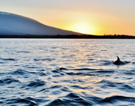 Discover this enchanted places of Galapagos