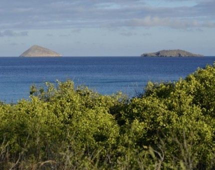 Landscape of Punta Cormorant in Floreana Island