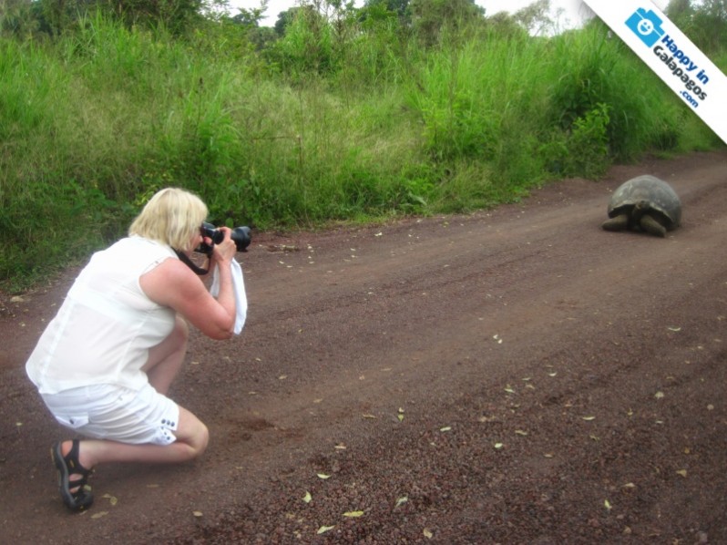 Photographing a really amazing giant tortoise