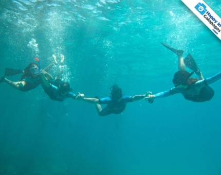Sharing a great experience in the snorkeling