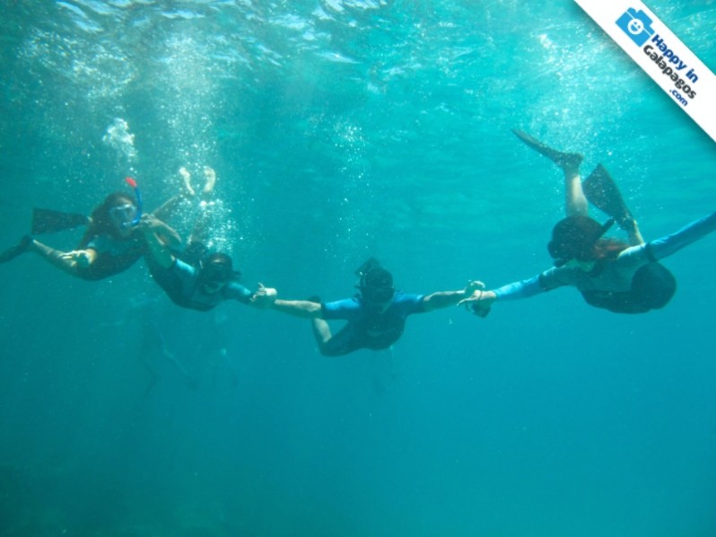 Sharing a great experience in the snorkeling