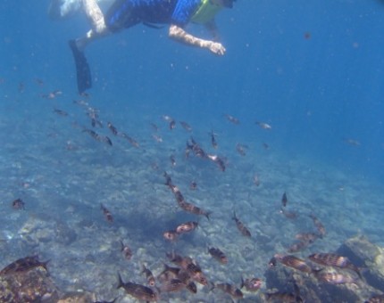 Galapagos Photo Enjoying really awesome underwater experiences