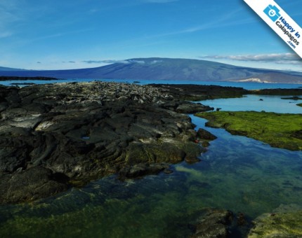 Galapagos Photo Dig into one of the most amazing paradises