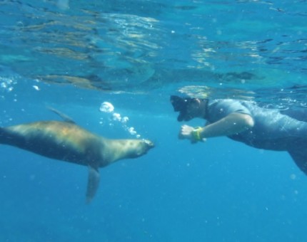 Galapagos Photo Get ready for amazing aquatic adventures
